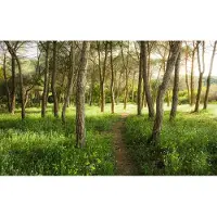 Overig Vliestapete "Digitaldruck Vlies - Blütenzauberwald - Größe 450 x 280 cm" bedruckt glatt Wohnzimmer, Schlafzimmer