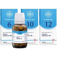 DHU-Arzneimittel GmbH & Co. KG Bal.-Kur Inn.Rein. DHU Schüß.-S.12+10+6 600 St
