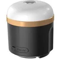 EcoFlow SCLI-B, Batteriebetriebene Campingleuchte, Schwarz, Gold, Weiß, Acrylnitril-Butadien-Styrol (ABS), Thermoplastischer Gummi (TPR), 2 Bein(e), IP54, 400 lm