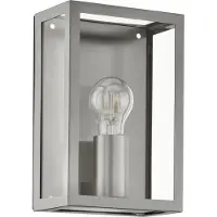 Eglo Außen-Wandlampe Alamonte, 1 flammige Außenleuchte, Wandleuchte aus Edelstahl, Farbe: Silber, Glas: klar, Fassung: E27, IP44