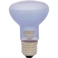 Exo Terra Tageslicht Wärmestrahler r20 75W