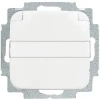 Busch-Jaeger SCHUKO Steckdosen-Einsatz mit 2CKA002018A0885