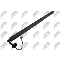 NTY AE-FR-065 Gasfeder Heckklappendämpfer für FORD Kuga Mk2 (DM2)
