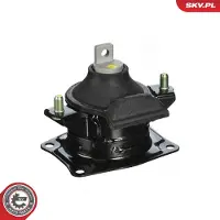 ESEN SKV Motorlager Hydrolager Hinten für HONDA Accord VII Limousine (CL, CN) 75SKV318