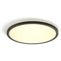 Philips White ambience Tento rundes WA LED-Deckenpanel 42,1 cm schwarz, Bluetooth/Zigbee, Schwarz, 2200 K, 6500 K, 23 W, 25000 h