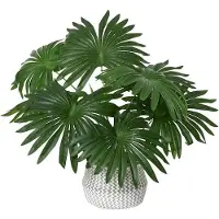 Everlands Kunstpflanze im Topf - Palme - ca. 50 cm - grün
