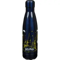 Scooli Isolierflasche "Harry Potter"