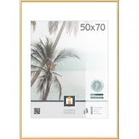 Möbel Kraft Kunststoffrahmen Kyoto , gold , Kunststoff , Maße (cm): B: 51 H: 71 T: 1.8