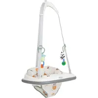 Graco Bumper Jumper Türhopser, ab 6 Monaten bis ca. 1 Jahr (bis 12 kg), Up & Away