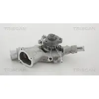 TRISCAN Wasserpumpe 8600 24019