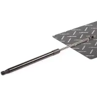 RIDEX 219G0090 Gasfeder Heckklappendämpfer für BMW 5 Touring (F11) 460mm