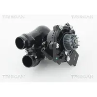 TRISCAN Wasserpumpe 8600 29057H