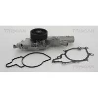 TRISCAN Wasserpumpe 8600 23053