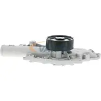 VAICO Wasserpumpe Original Qualität V30-50054