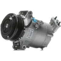 Delphi Kompressor, Klimaanlage TSP0155449