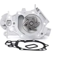 INA Schaeffler Wasserpumpe [Hersteller-Nr. 538039810] für Renault, Nissan