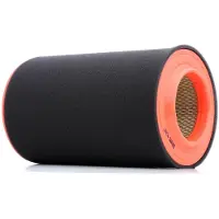 FILTRON Luftfilter AR 316/2