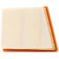 PURFLUX Luftfilter A1719