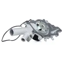 MAGNETI MARELLI Wasserpumpe 352316170674