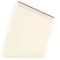 HENGST FILTER Innenraumluftfilter E989LI