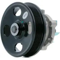 Gates Wasserpumpe WP0120