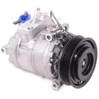 Delphi Klimakompressor CS20475