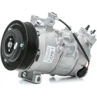 Delphi Kompressor, Klimaanlage CS20502