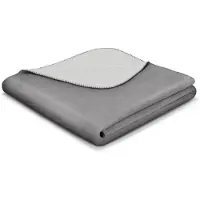 Biederlack Wohndecke BASIC graphit-silber 329119