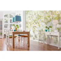 Komar Fototapete "Daisies - Größe 368 x 254 cm" bedruckt glatt Wohnzimmer, Schlafzimmer