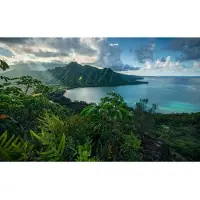 Overig Vliestapete "Digitaldruck Vlies - Jurassic Island - Größe 450 x 280 cm" bedruckt glatt Wohnzimmer, Schlafzimmer