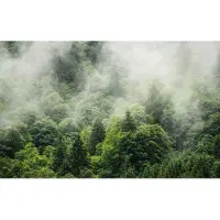 Overig Vliestapete "Digitaldruck Vlies - Forest Land - Größe 400 x 250 cm" bedruckt glatt Wohnzimmer, Schlafzimmer