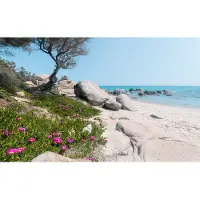 Overig Vliestapete "Digitaldruck Vlies - Mediterrane Träume - Größe 450 x 280 cm" bedruckt glatt Wohnzimmer, Schlafzimmer