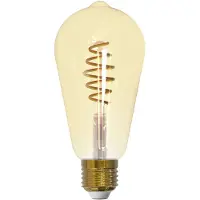 Eglo Leuchtmittel LED E27 ST64 5,5W 400lm