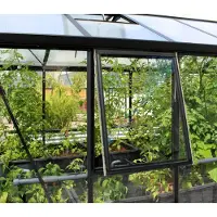 Vitavia Vitavia, Seitenfenster "Z" für Vitavia Gewächshäuser, schwarz, 3mm ESG