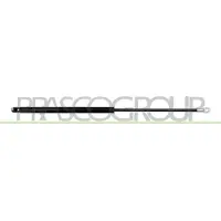 PRASCO Gasfeder, Koffer-/Laderaum FT1219065