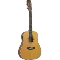 Tanglewood TW40-12 SD AN E Antique Natural