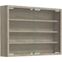 VCM Agisa