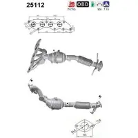 As Katalysator 25112