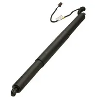 MAXGEAR Gasfeder, Einlegeboden (Koffer-/Laderaum) 12-2561