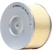 Bosch Luftfilter F 026 400 260