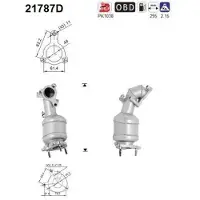 As Katalysator 21787D