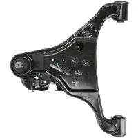 Delphi TC3980 Querlenker Links Unten Vorne für NISSAN NP300 Navara Pickup (D40)