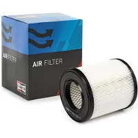 Champion Luftfilter CAF100485C