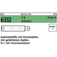 F. REYHER Nchfg. GmbH & Co. KG Gewindestift DIN 6332 Form IS m.Zapfen/Innensechskant IS M 10 x 45 5.8 brüniert