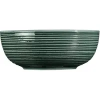 Seltmann Terra Moosgrün Foodbowl 20 cm Terra Moosgrün 001.765019