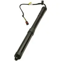 MAXGEAR Gasfeder, Einlegeboden (Koffer-/Laderaum) 12-2554