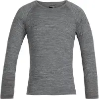 Icebreaker 200 Oasis Crew Merino Langarm-t-shirt