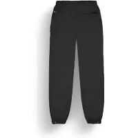 Picture Organic Clothing Dicentra Pants Ski- und Winterhosen für Herren