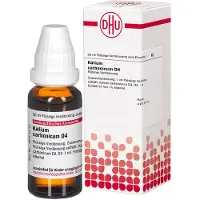 DHU-Arzneimittel GmbH & Co. KG Kalium Carbonicum D 4 Dilution 20 ml