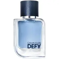 Calvin Klein Defy Eau de Toilette 50 ml